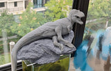 Aokhan Studio Zhuchengtyrannus Scene Model