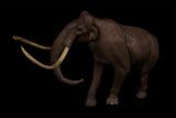 LANATIMESHOP Southern Mammoth Titania Model