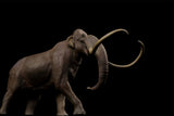 LANATIMESHOP Southern Mammoth Titania Model