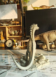 BAILAN Studio 1/20 Scale Amargasaurus cazaui Statue