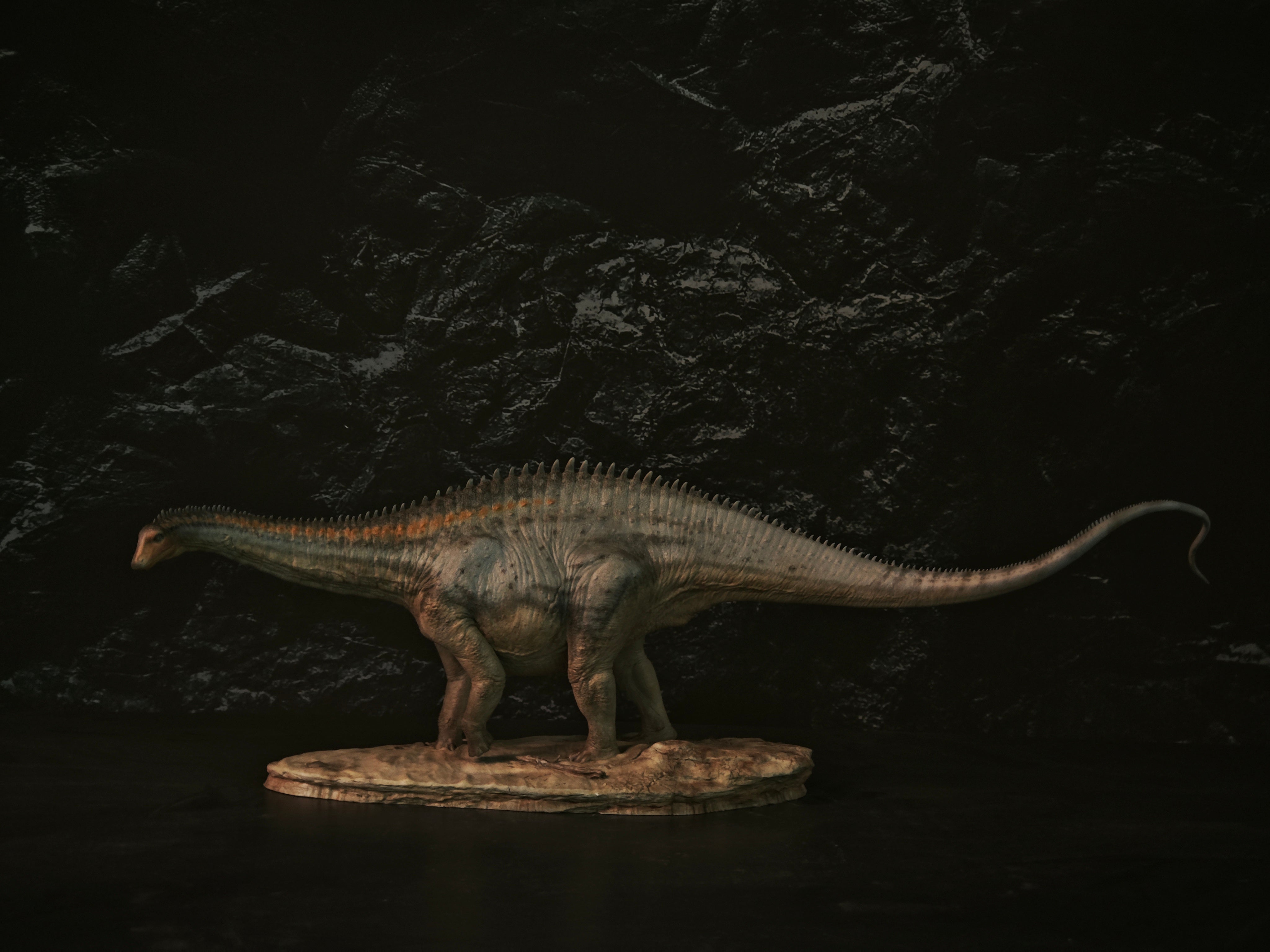 Anningpale 1:35 Scale Maraapunisaurus Model Installment