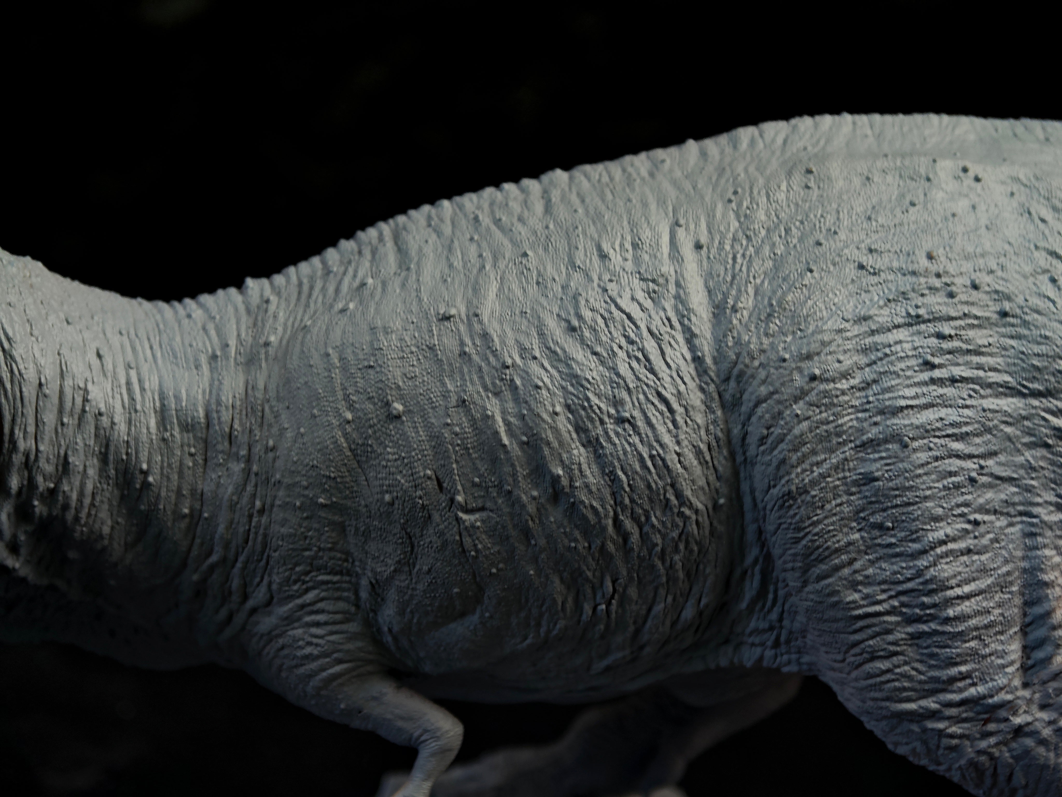 Vikas Prajapat Tyrannosaurus Rex Trix Statue