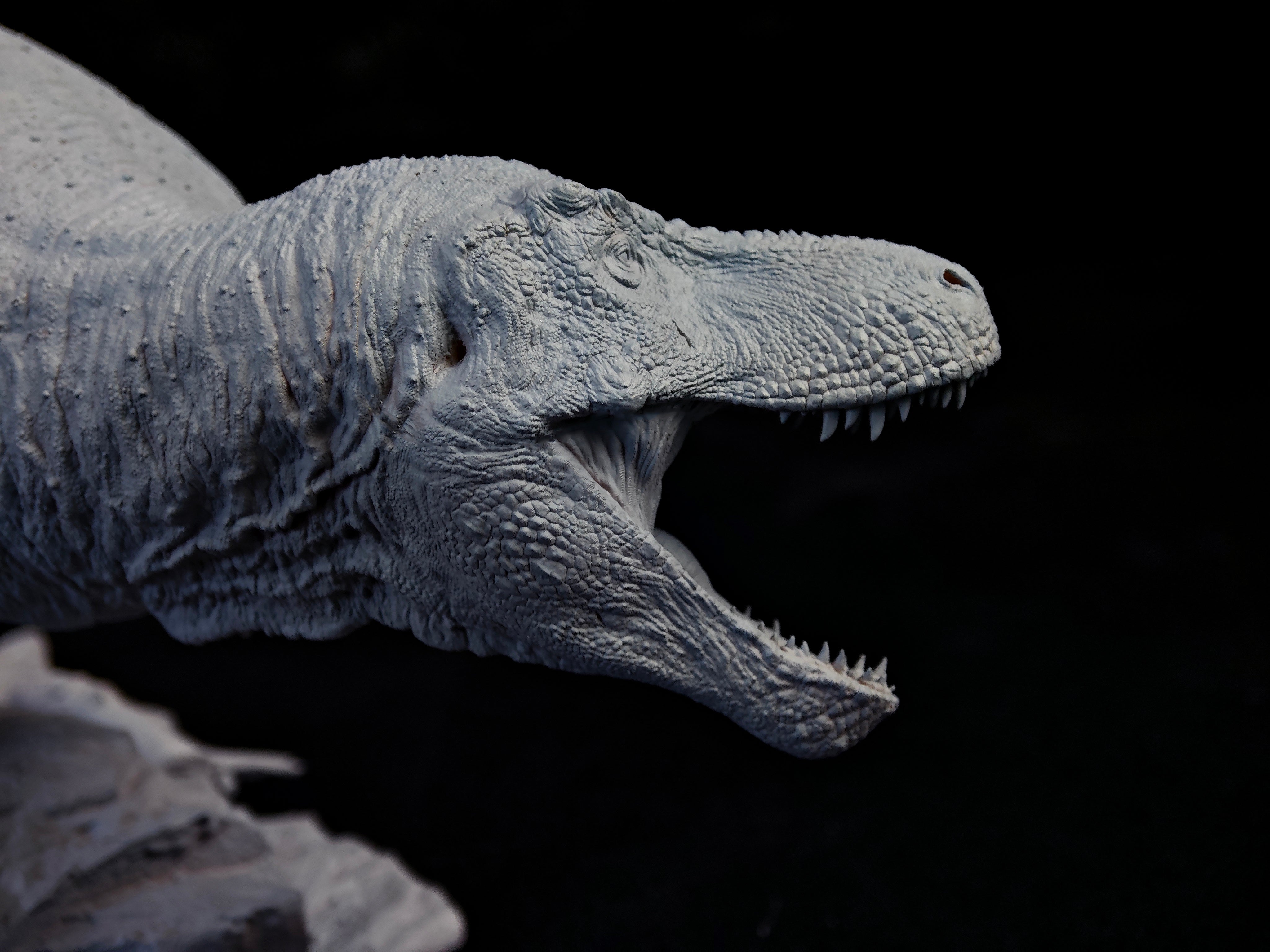 Vikas Prajapat Tyrannosaurus Rex Trix Statue