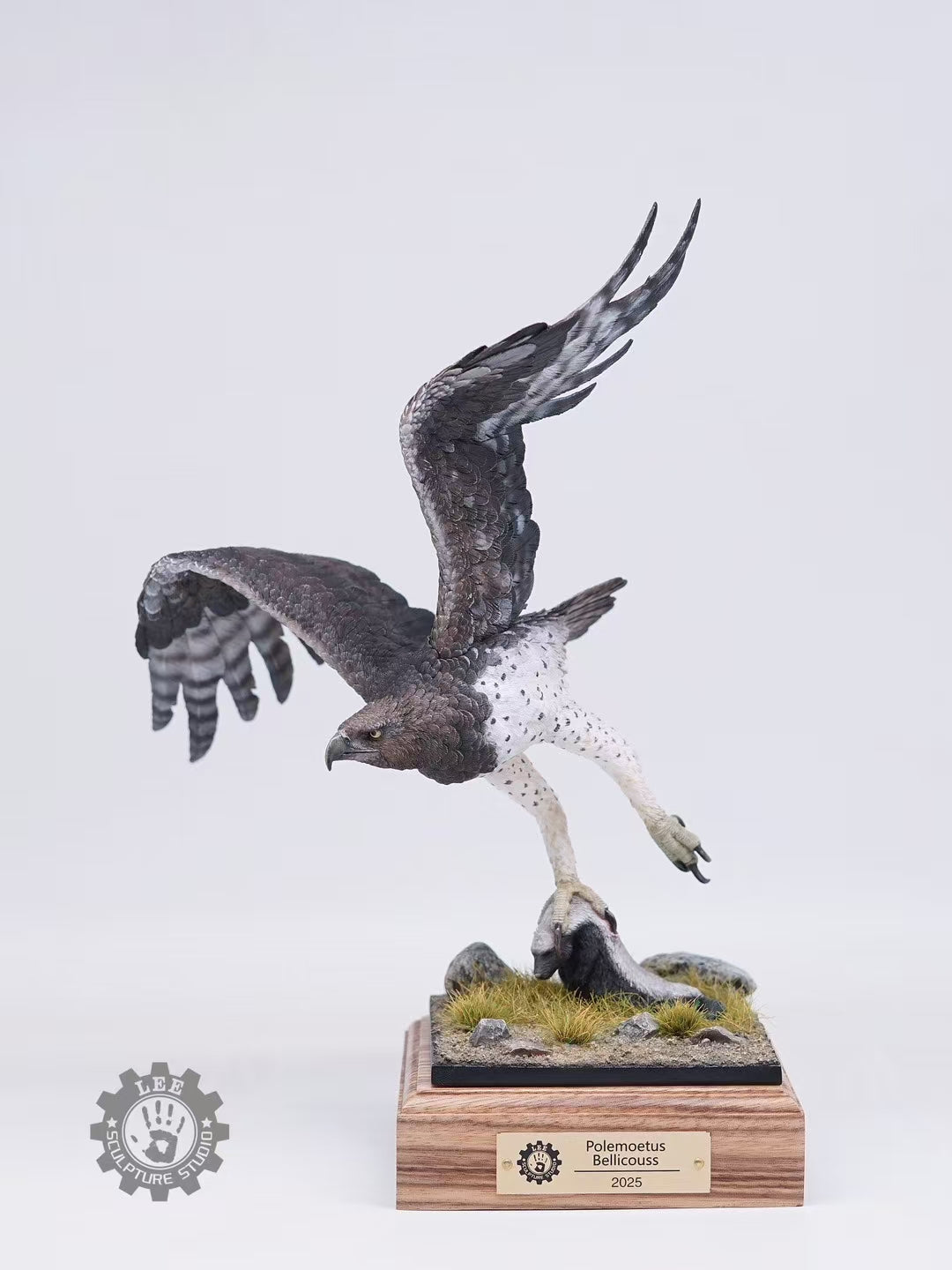 LEE Studio 1/10 Scale Martial Eagle Model
