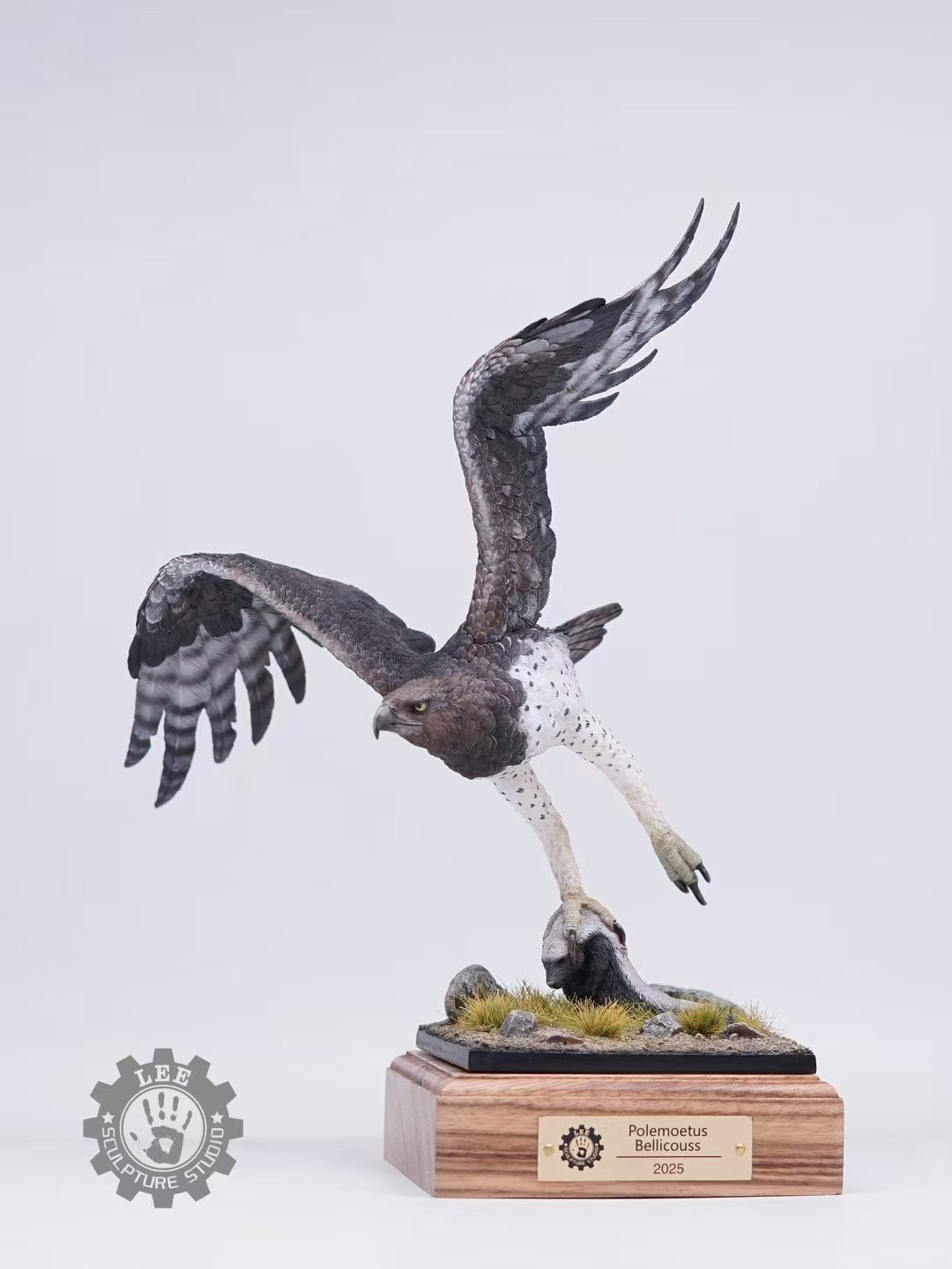 LEE Studio 1/10 Scale Martial Eagle Model