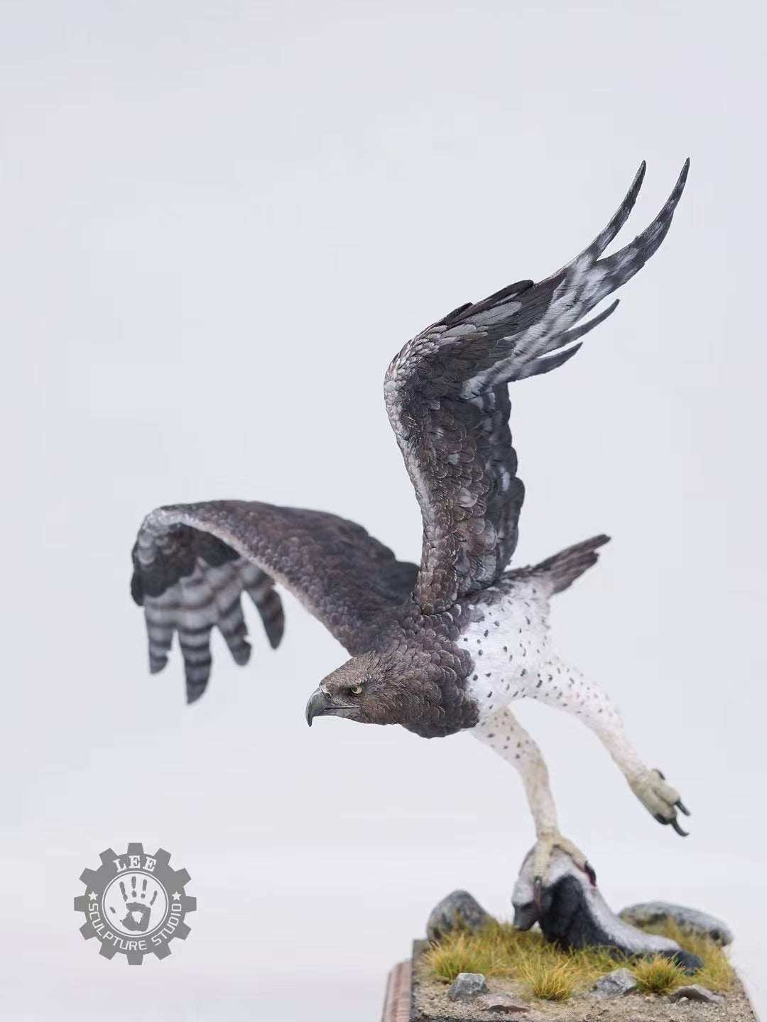 LEE Studio 1/10 Scale Martial Eagle Model