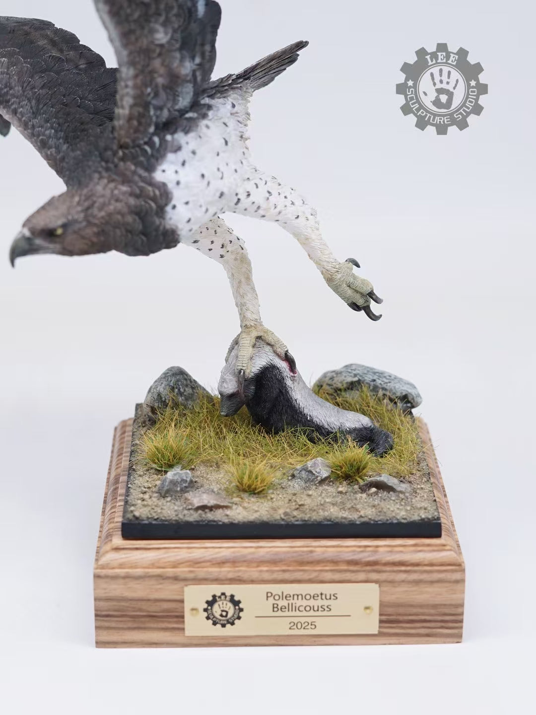 LEE Studio 1/10 Scale Martial Eagle Model