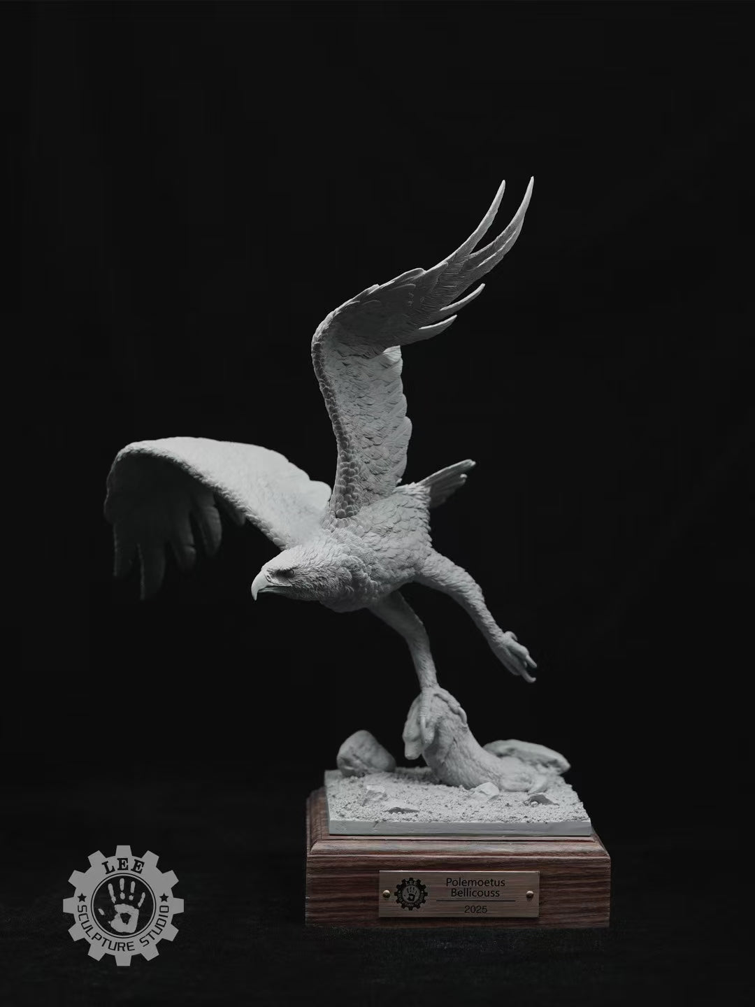 LEE Studio 1/10 Scale Martial Eagle Model