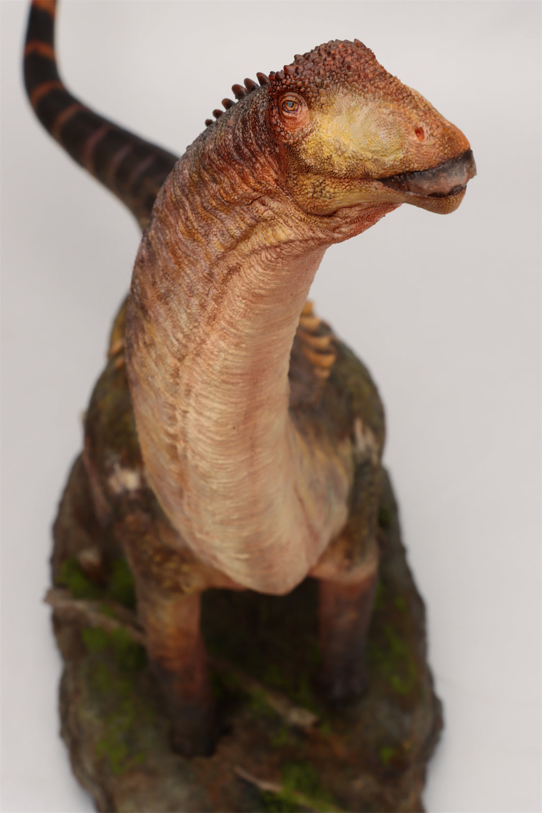 Anningpale 1:35 Scale Patagotitan Model