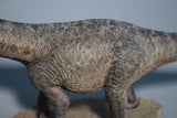 SHOWANNA 1/35 Scale Tapuiasaurus Model