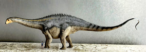 Anningpale 1:35 Scale Maraapunisaurus Model Installment