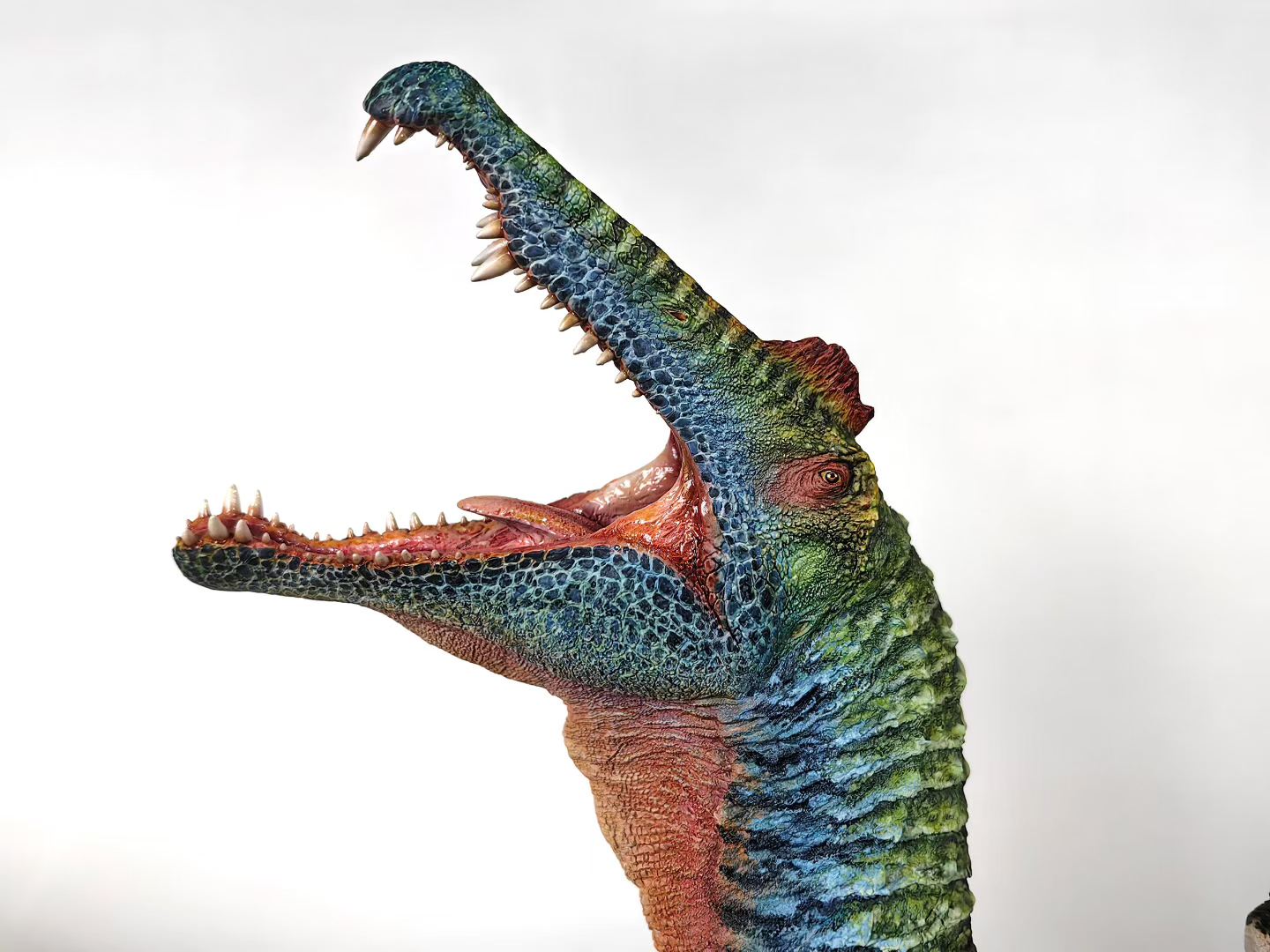 Showanna Studio 1/15 Scale Spinosaurus VS Carcharodontosaurus Scene Statue
