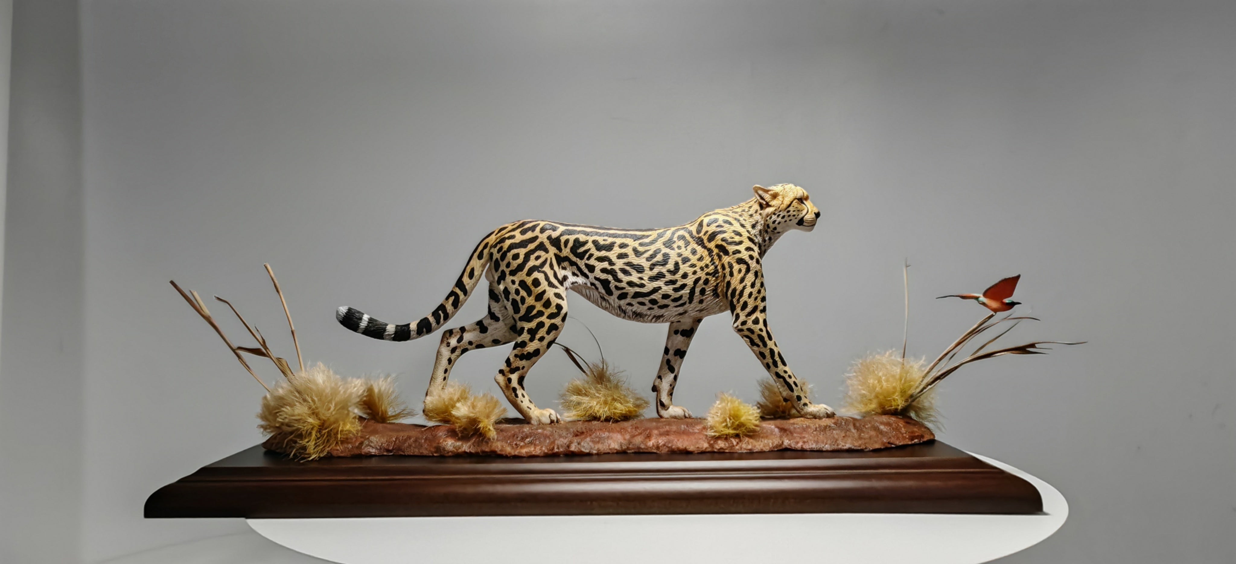 GuoXiong Studio Bushmen Cheetah Scene Model