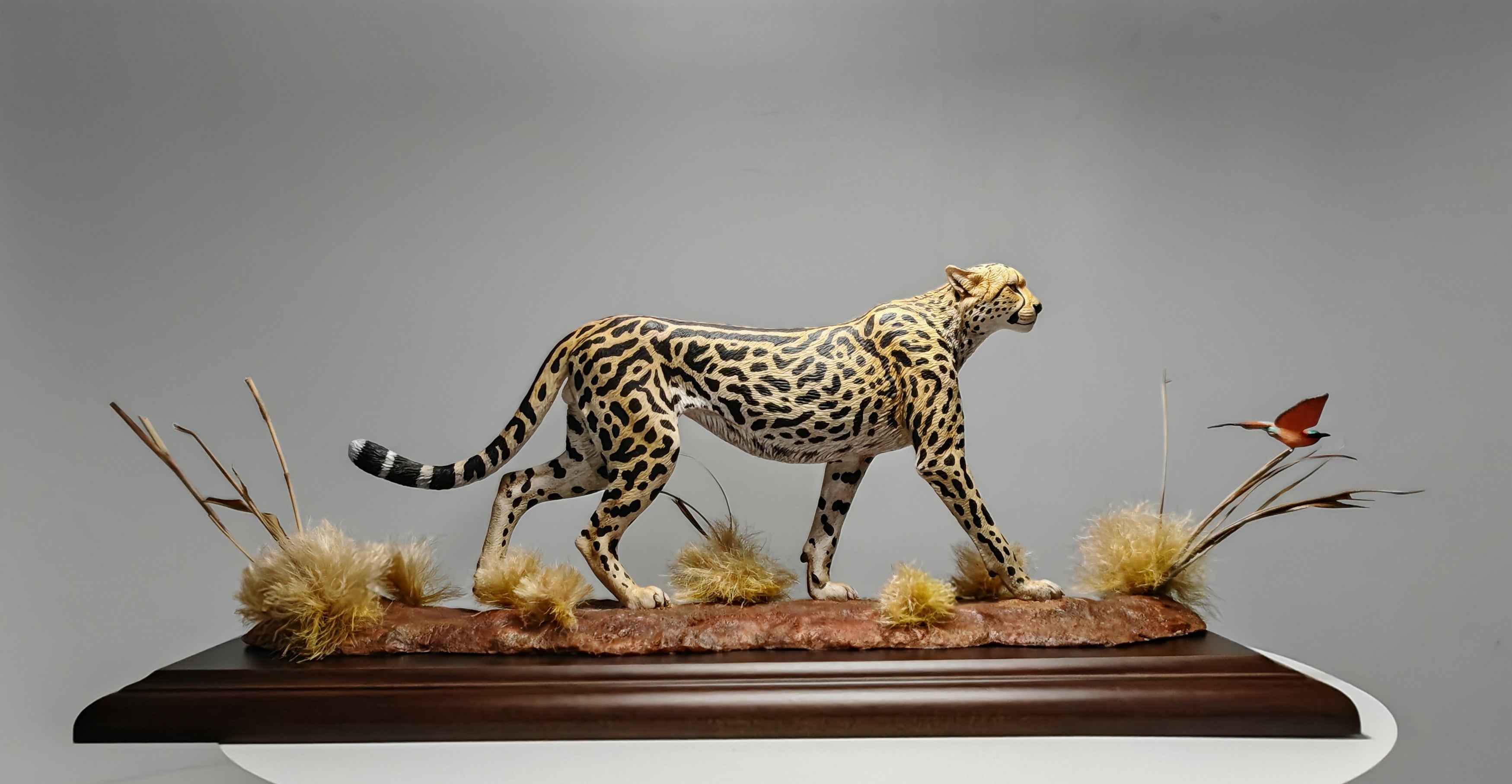 GuoXiong Studio Bushmen Cheetah Scene Model