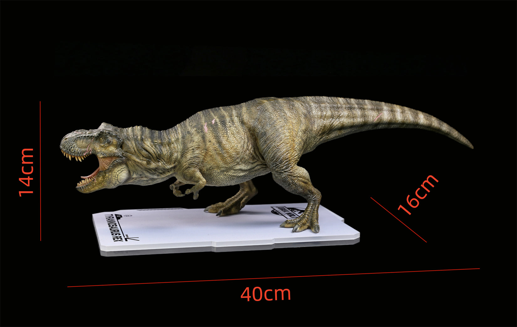 DINO DREAM 1:30 Scale JW4 Tyrannosaurus Rex Model
