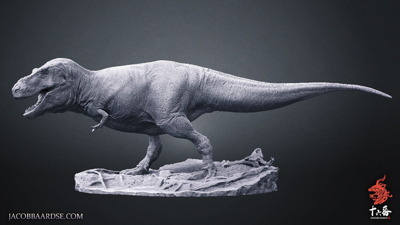 SHOWANNA Tyrannosaurus Rex Sue Model