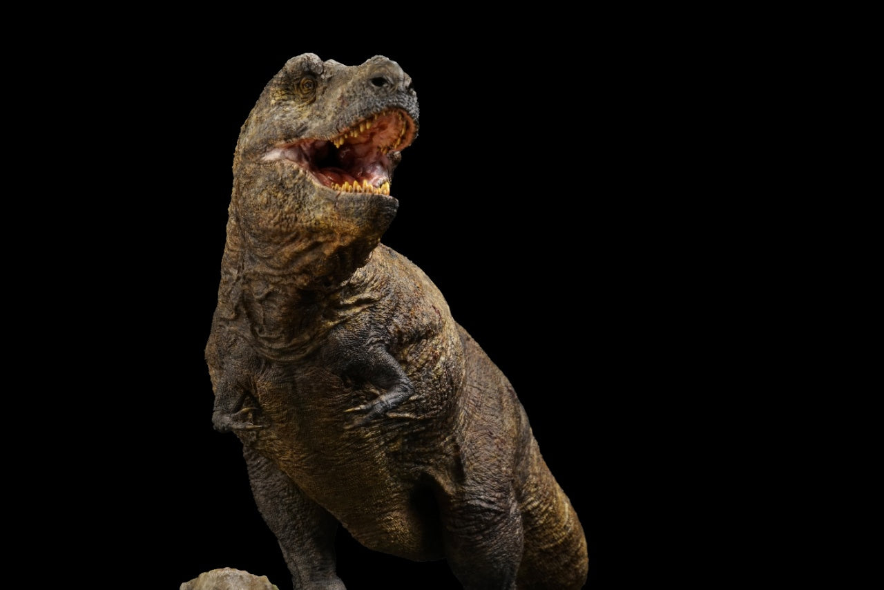 SHOWANNA Tyrannosaurus Rex Sue Model
