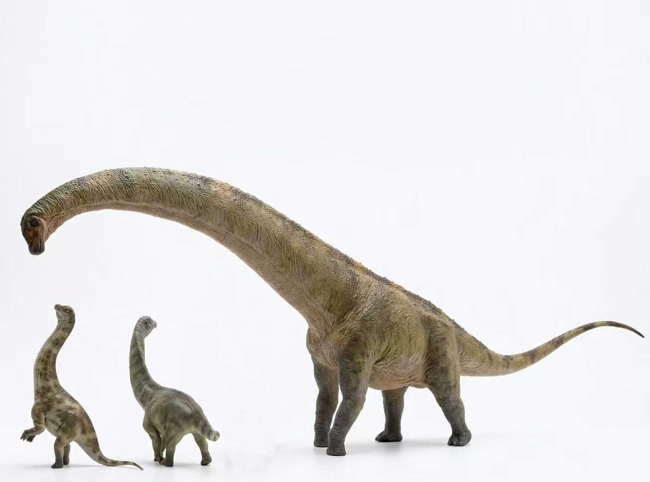 HAOLONGGOOD Sauroposeidon-Modell im Maßstab 1:35