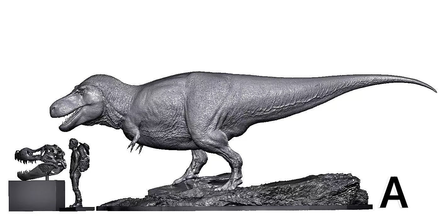 Art&Evolution Studio Tyrannosaurus Rex Sue Model