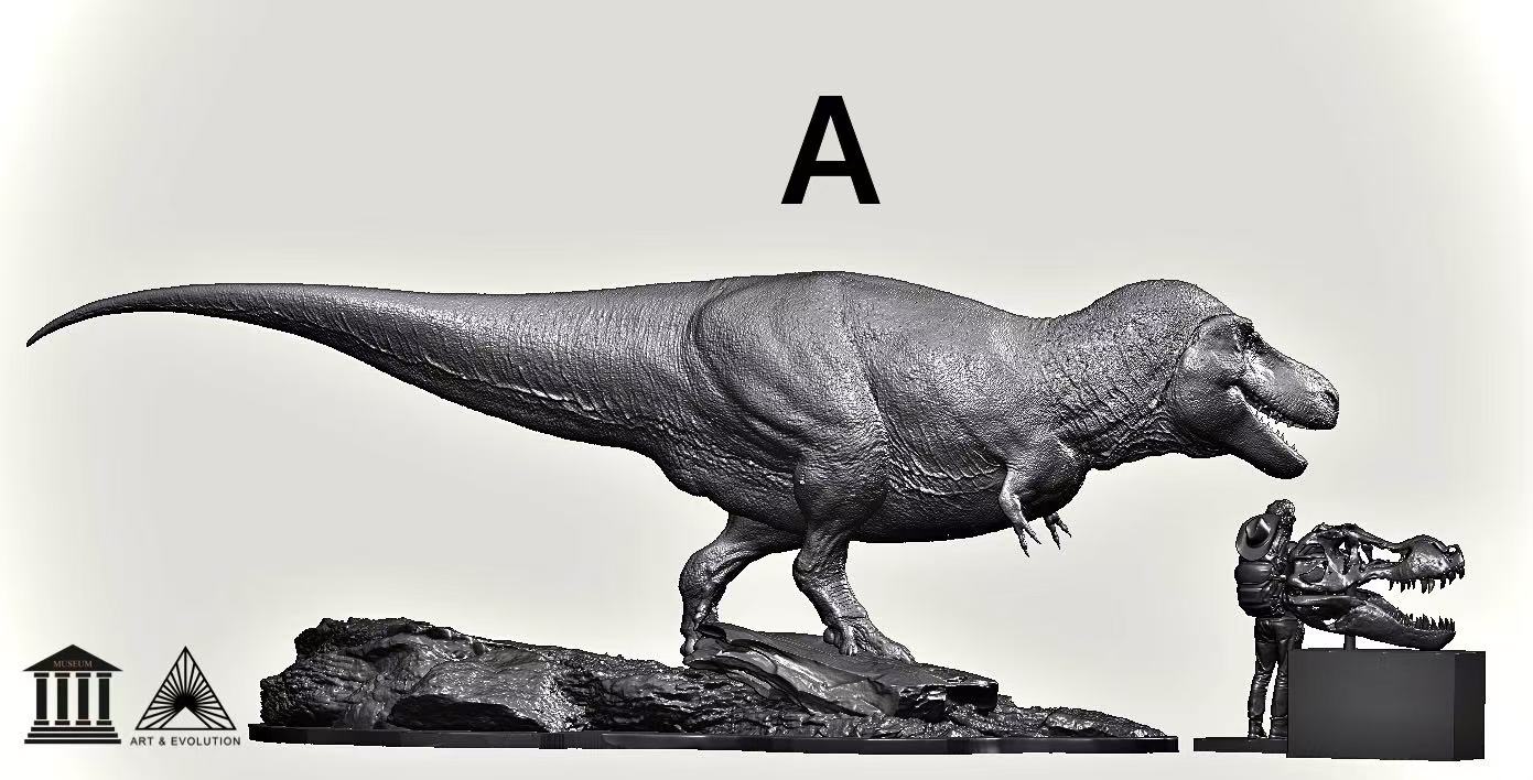 Art&Evolution Studio Tyrannosaurus Rex Sue Model
