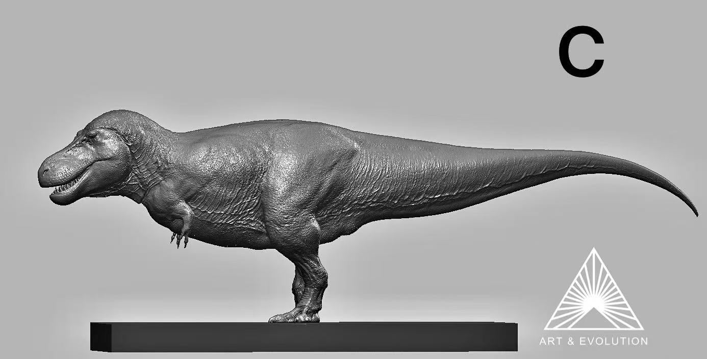 Art&Evolution Studio Tyrannosaurus Rex Sue Model