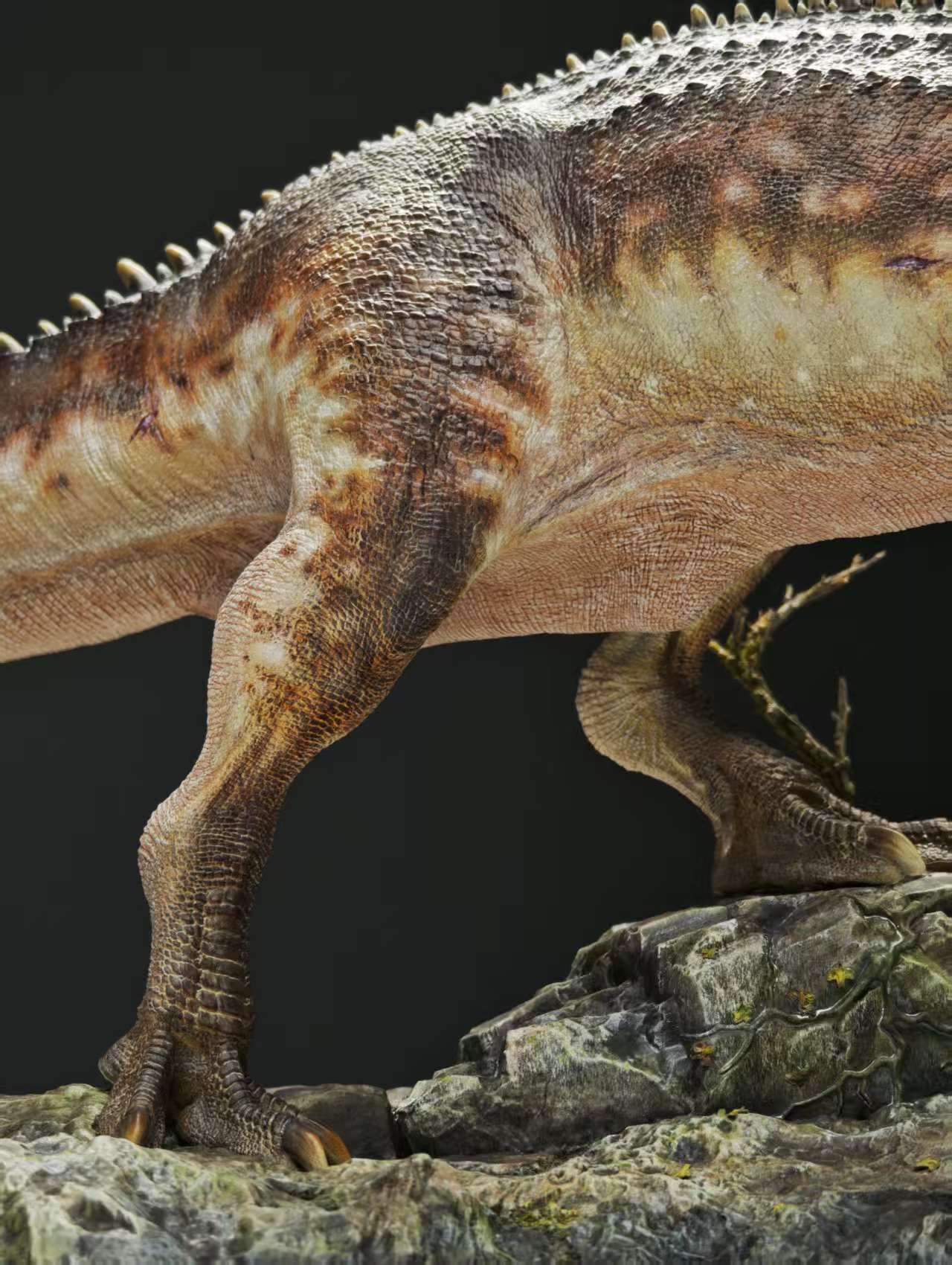 Carson Long STUDIO Giganotosaurus carolinii Model