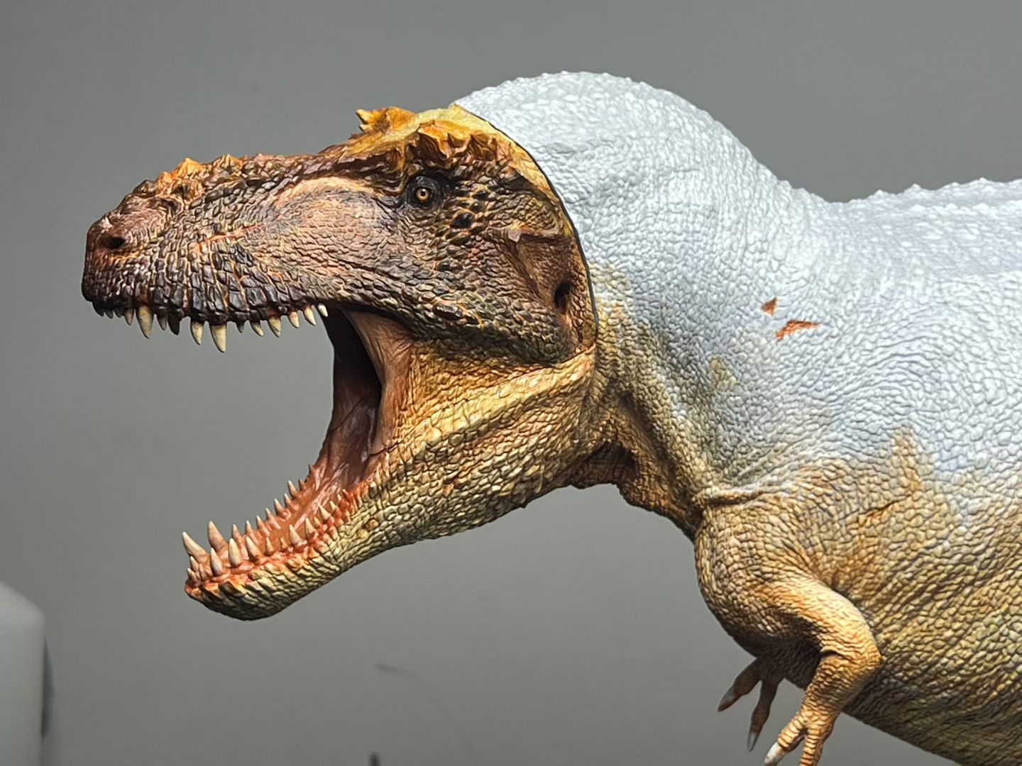 Carson Long STUDIO Tyrannosaurus Rex Scotty Model