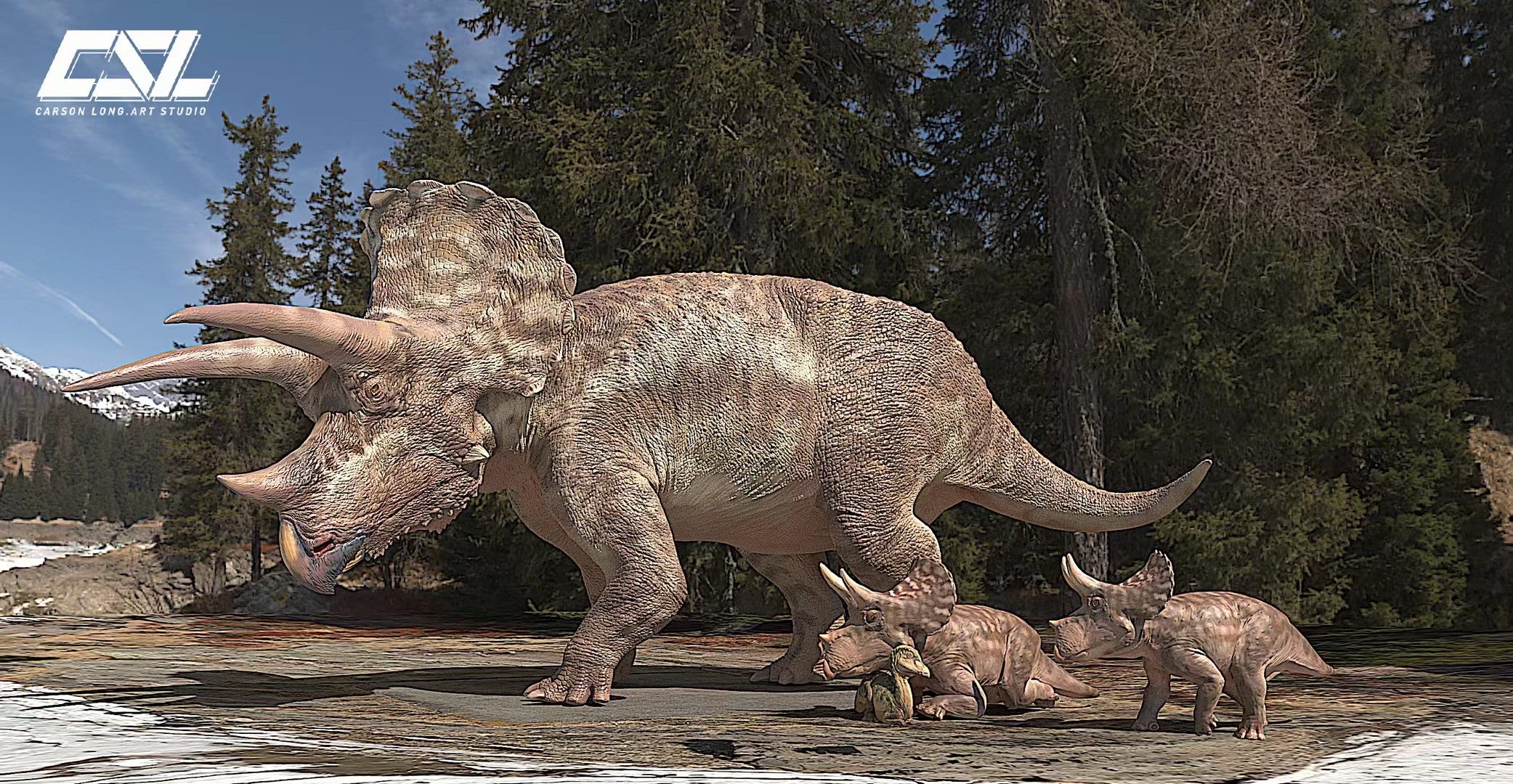 Carson Long STUDIO Triceratops horridus Model