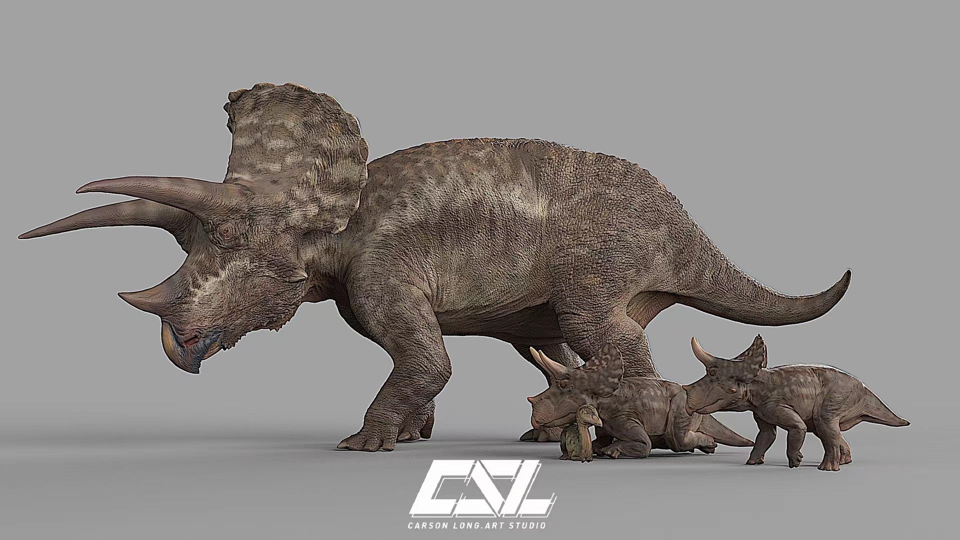 Carson Long STUDIO Triceratops horridus Model