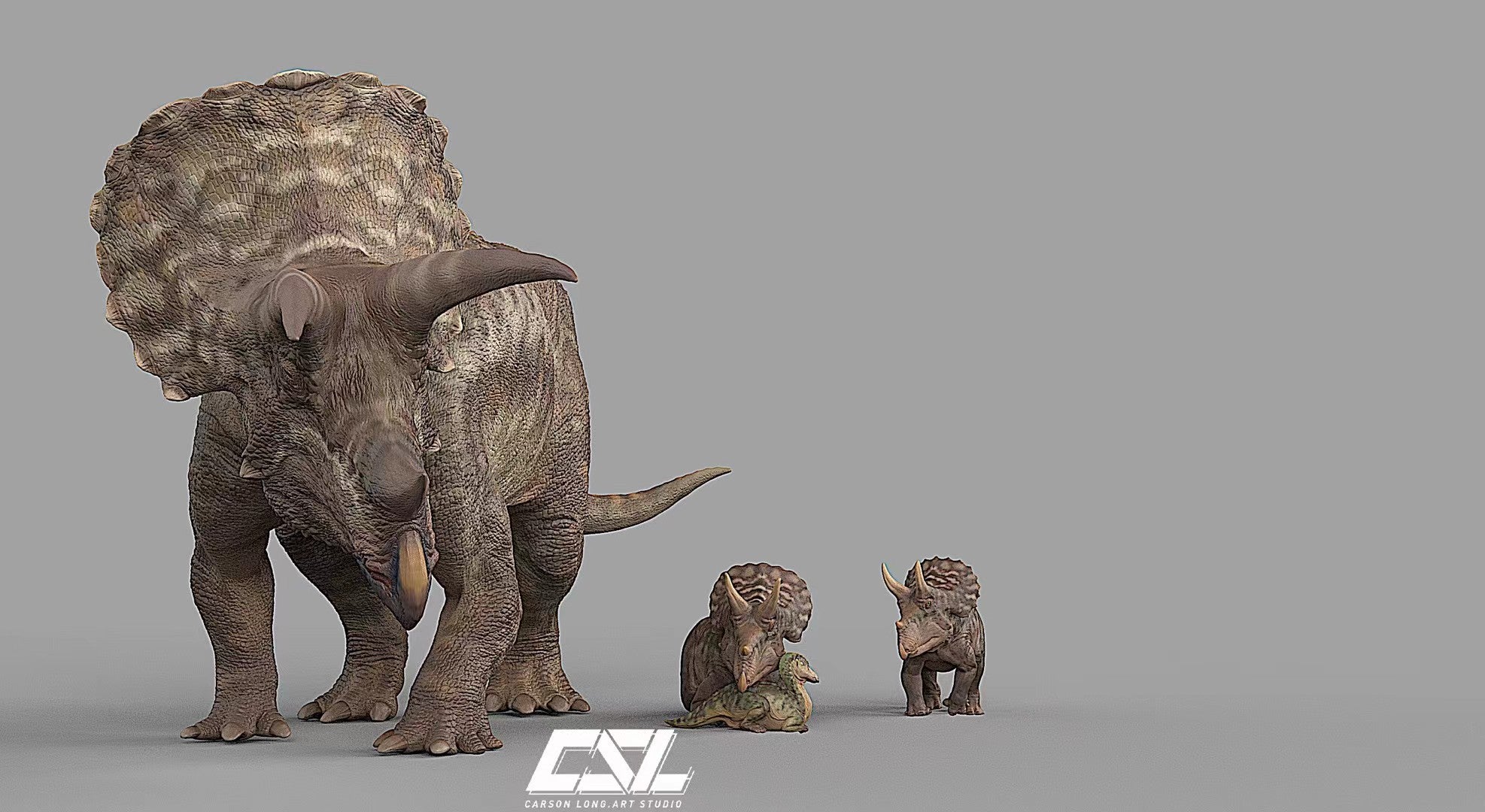 Carson Long STUDIO Triceratops horridus Model