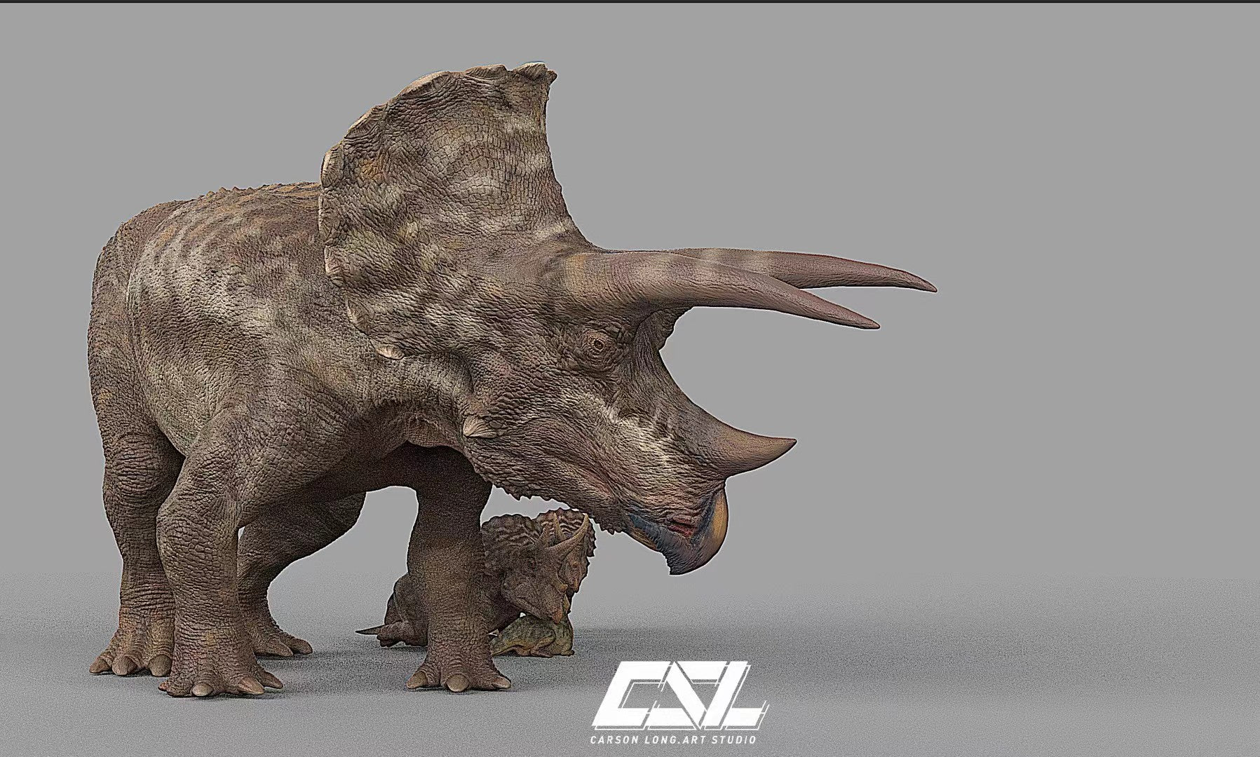 Carson Long STUDIO Triceratops horridus Model
