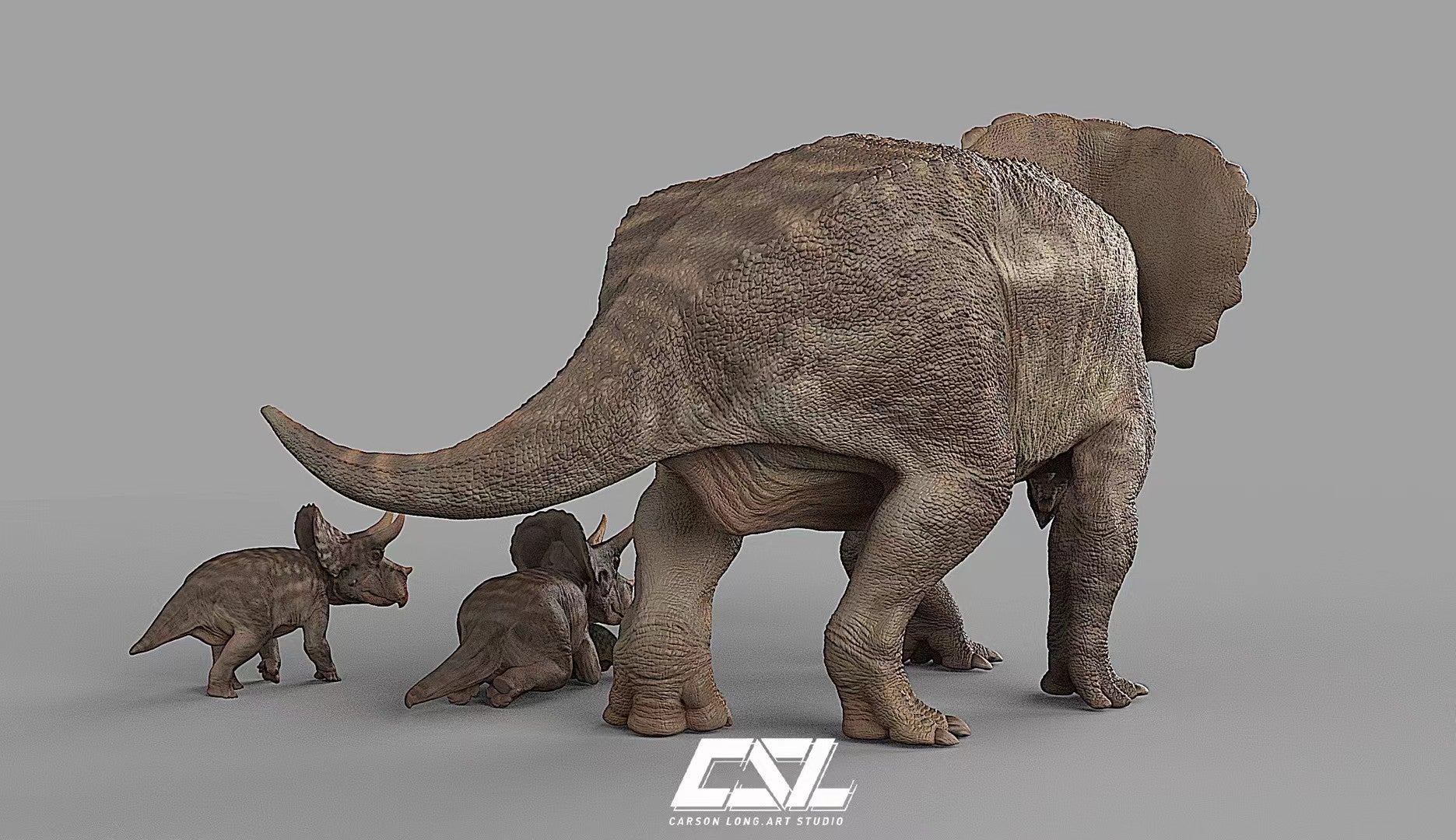 Carson Long STUDIO Triceratops horridus Model