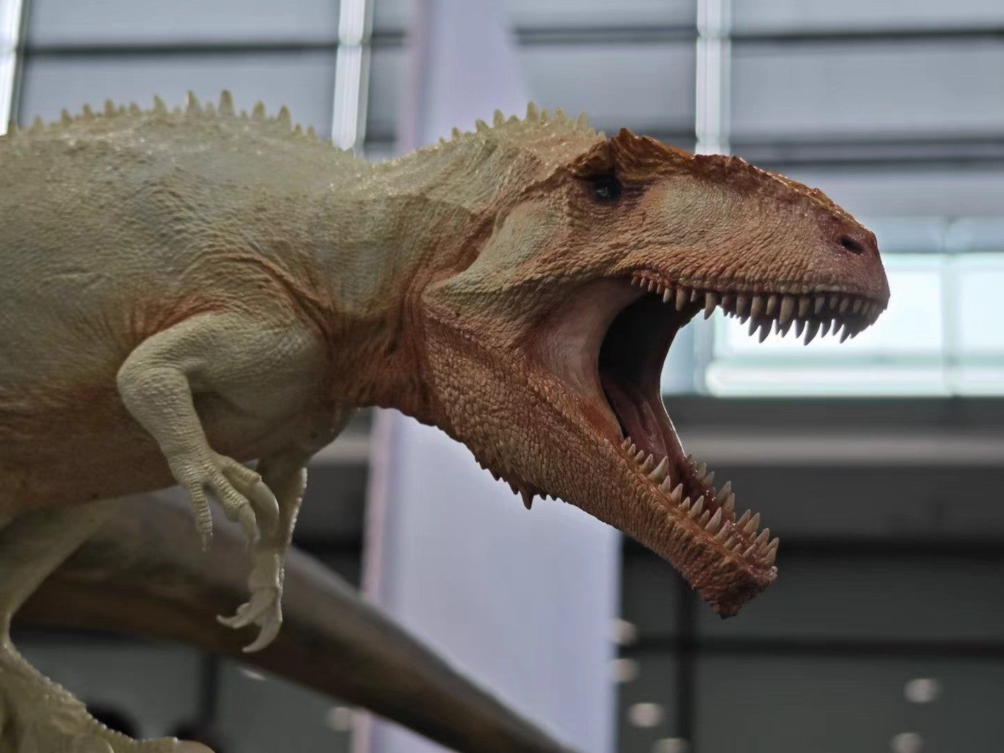 Carson Long STUDIO Giganotosaurus carolinii Model