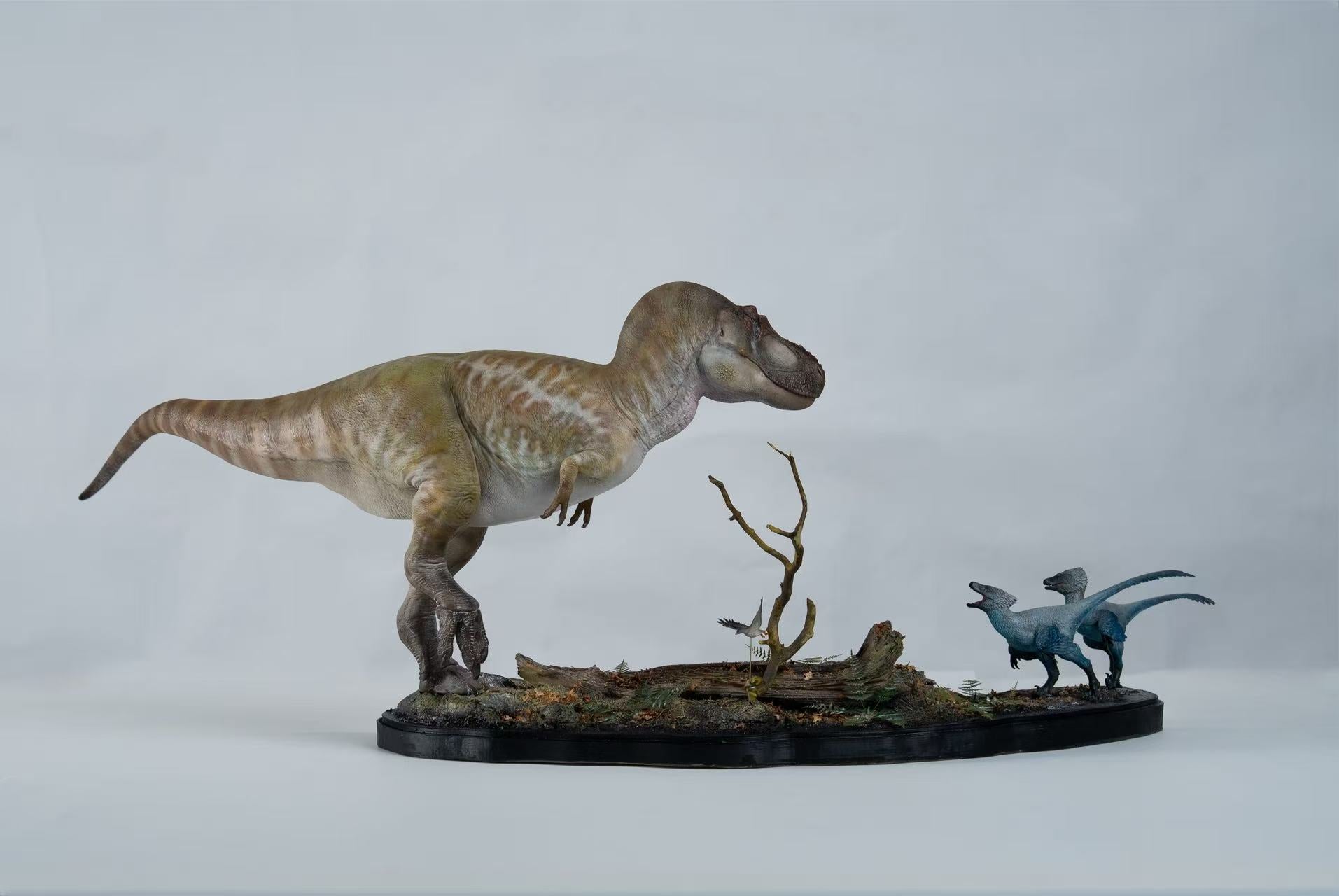De CLAY Studio Daspletosaurus torosus Model