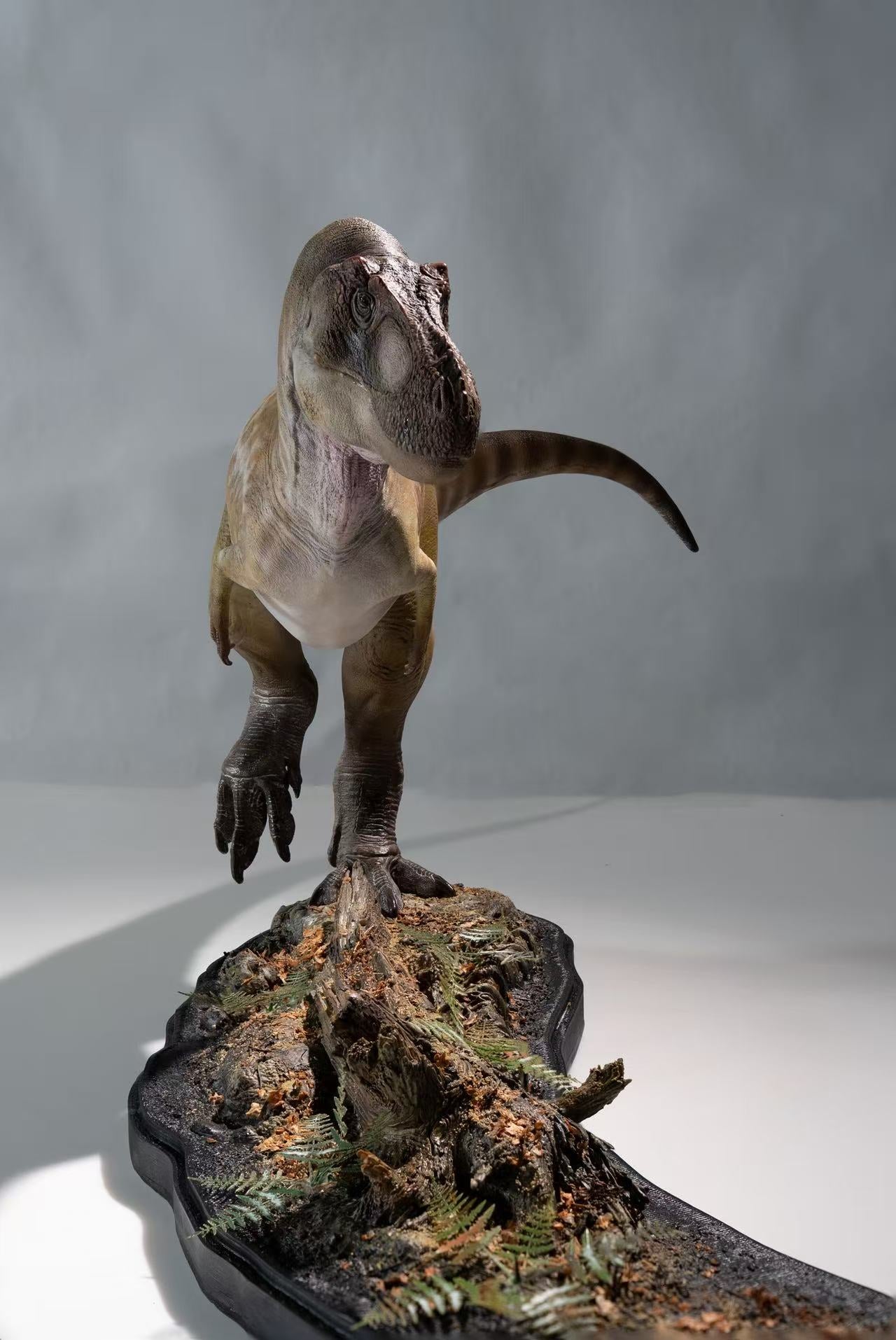 De CLAY Studio Daspletosaurus torosus Model