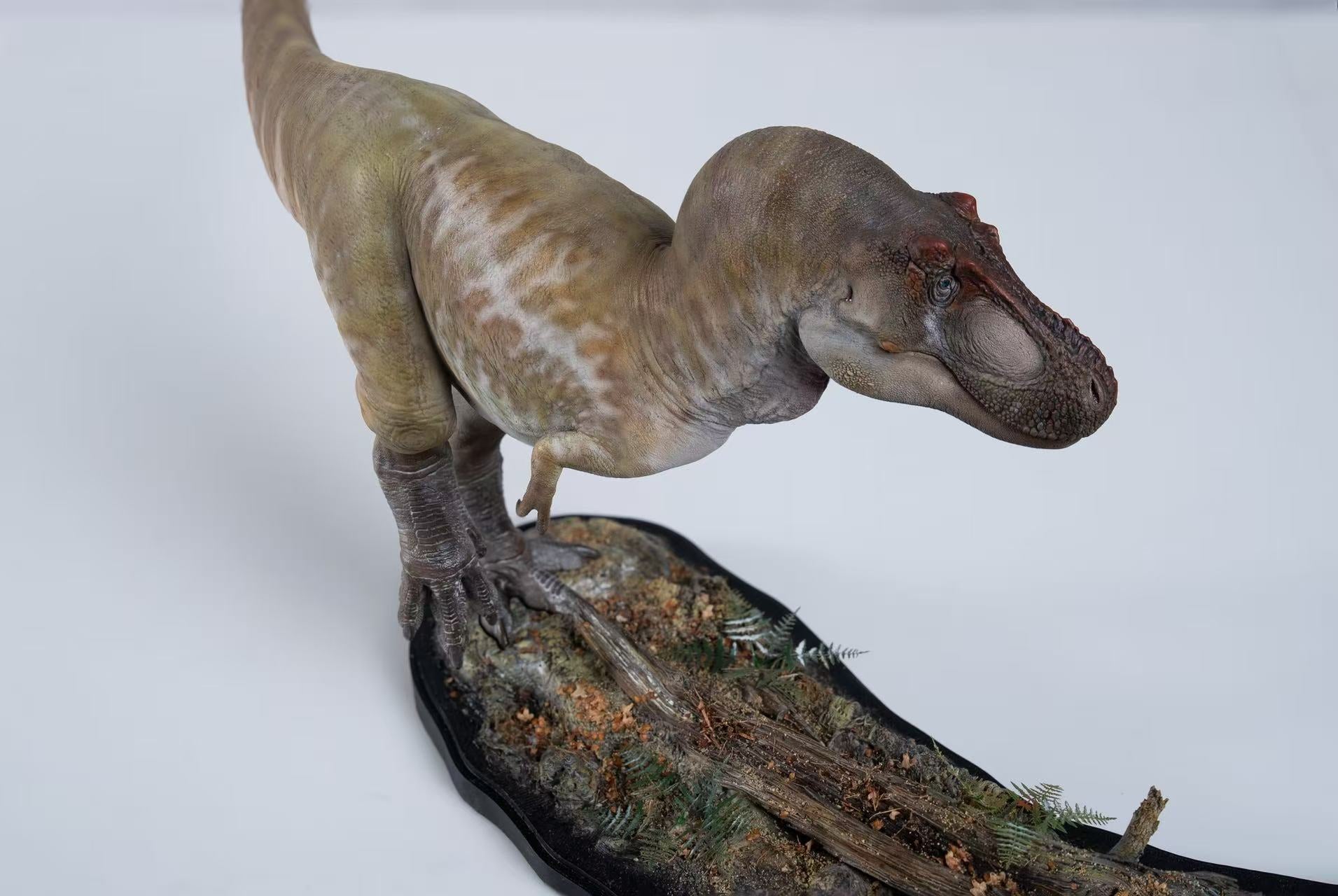 De CLAY Studio Daspletosaurus torosus Model