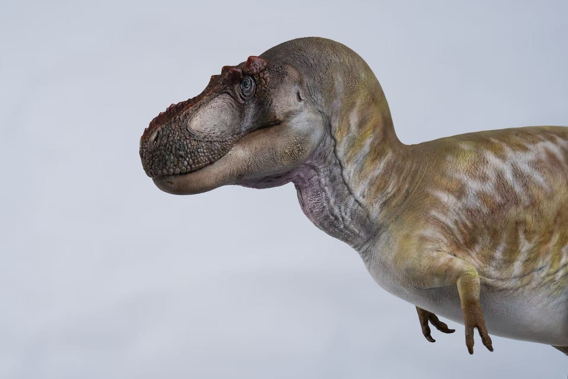 De CLAY Studio Daspletosaurus torosus Model