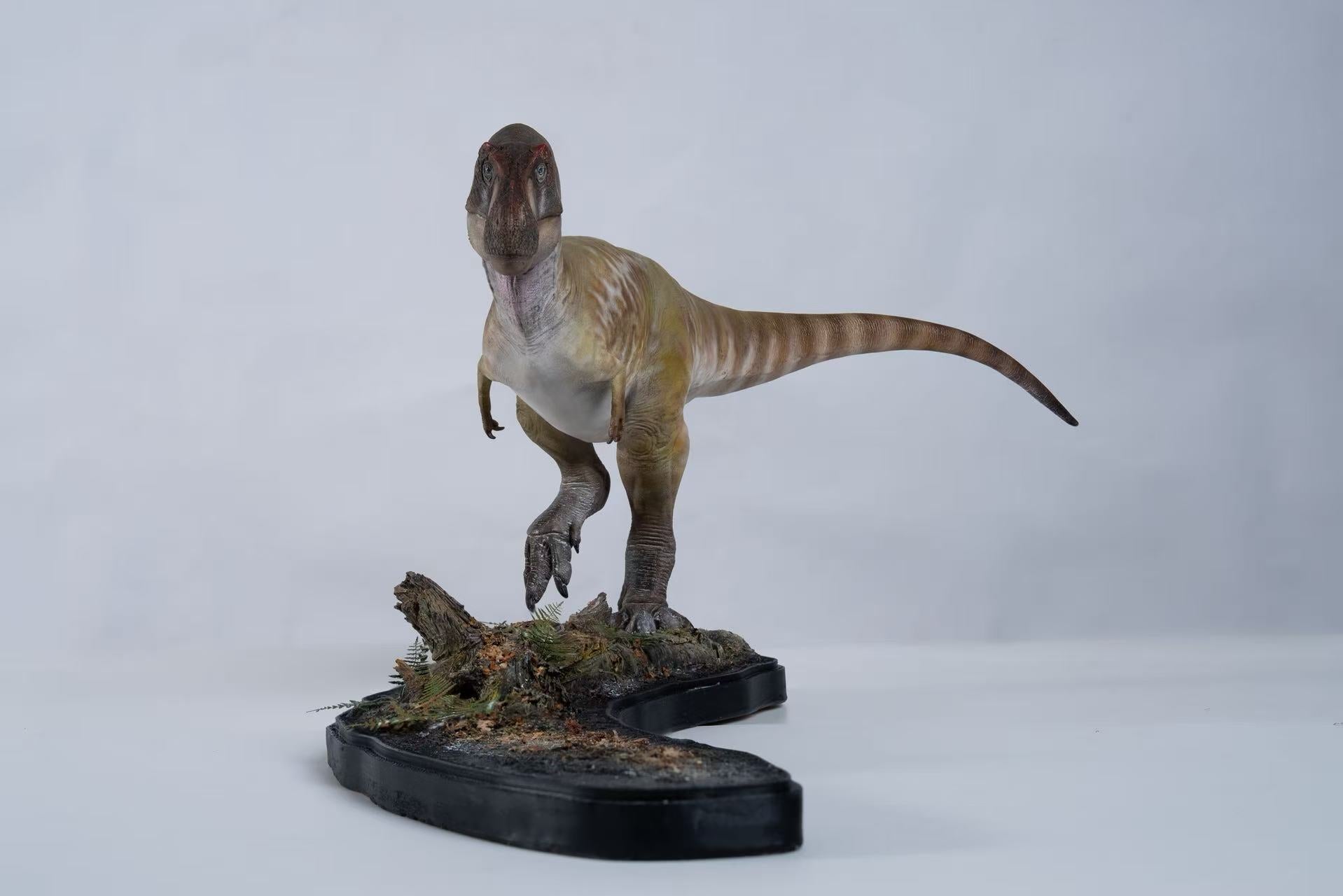 De CLAY Studio Daspletosaurus torosus Model