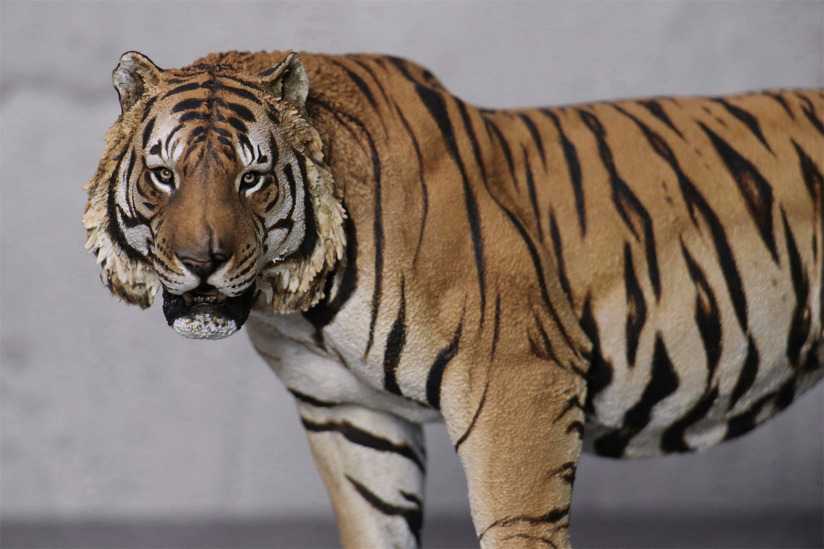 Art&Evolution Studio Bengal Tiger Tarun Model