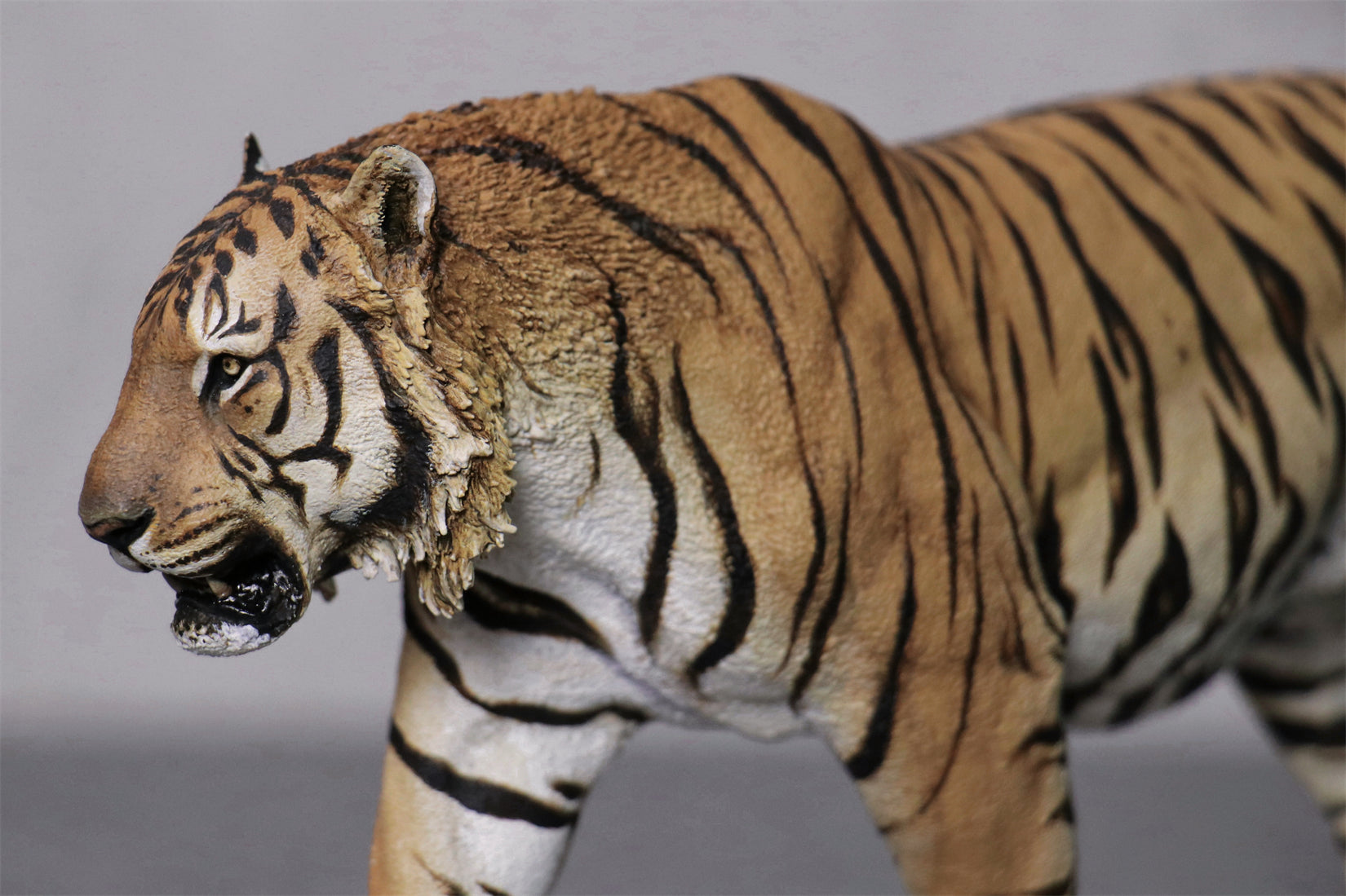 Art&Evolution Studio Bengal Tiger Tarun Model
