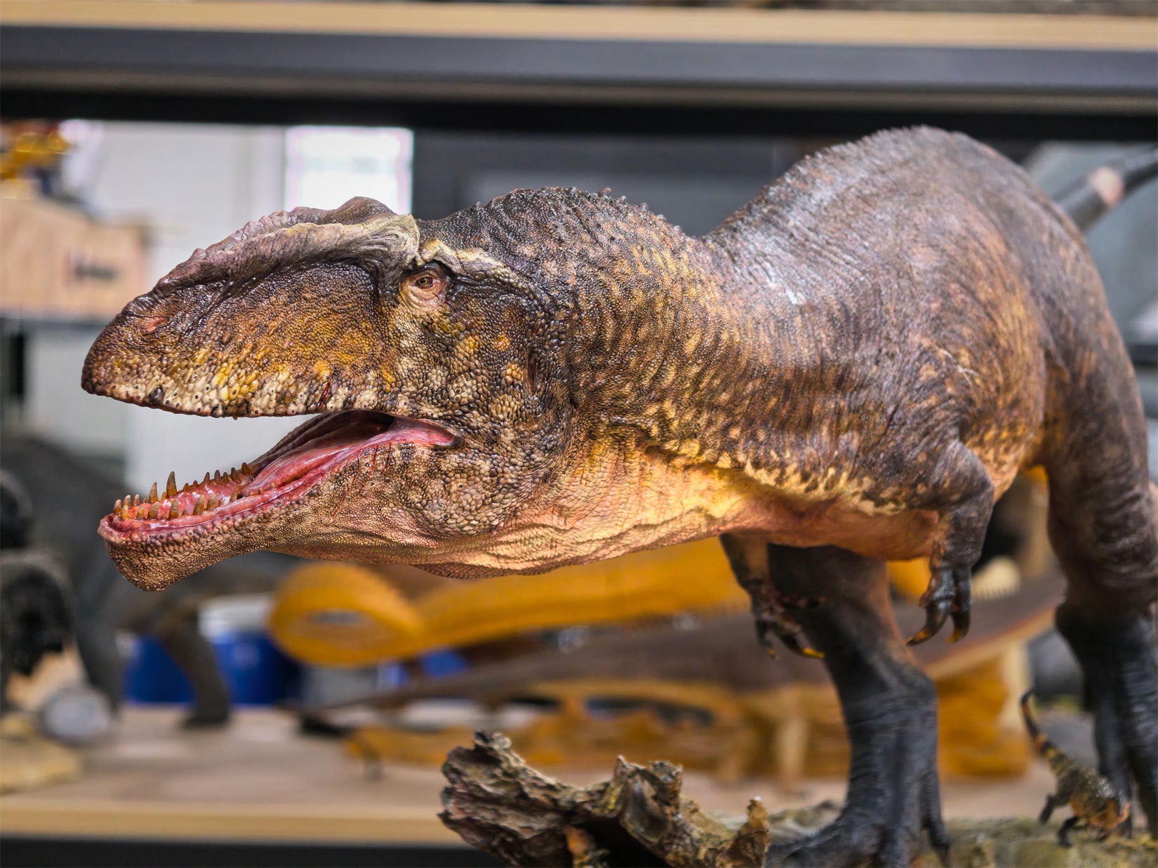 Anningpale Giganotosaurus carolinii Scene Model