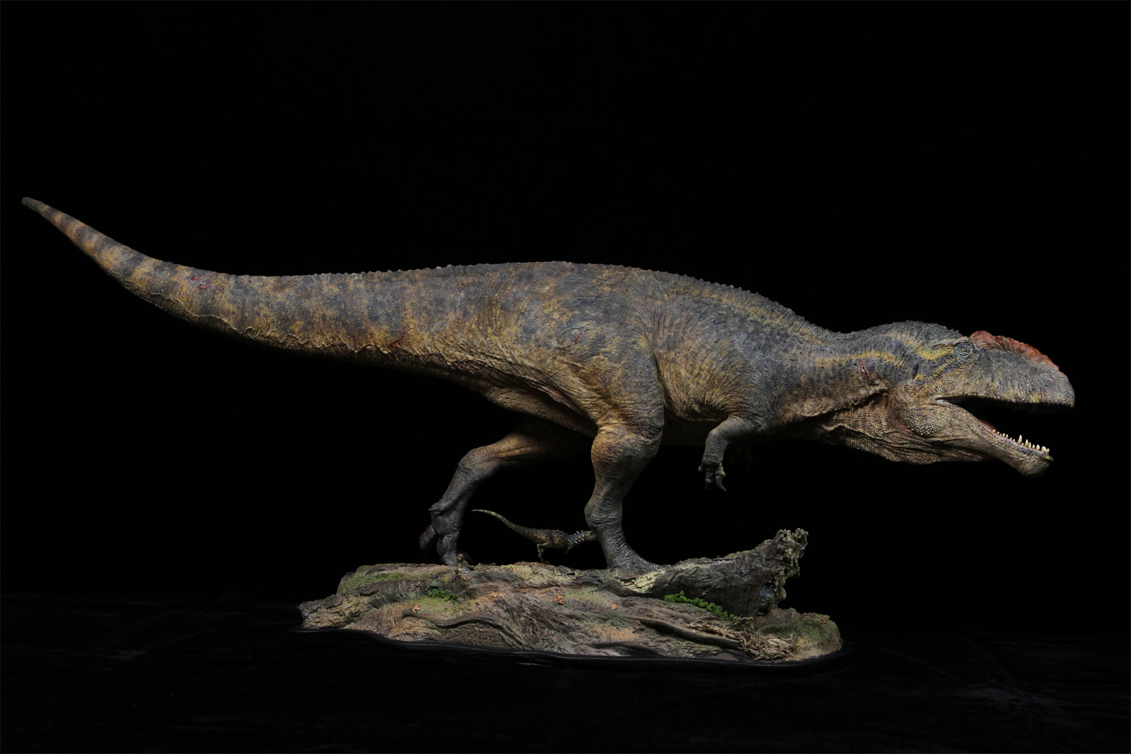 Anningpale Giganotosaurus carolinii Scene Model