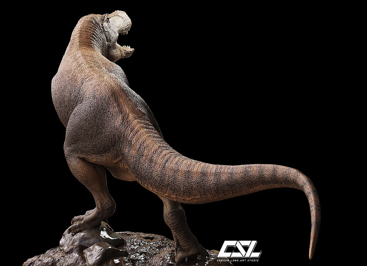 Carson Long STUDIO Zhuchengtyrannus magnus Model