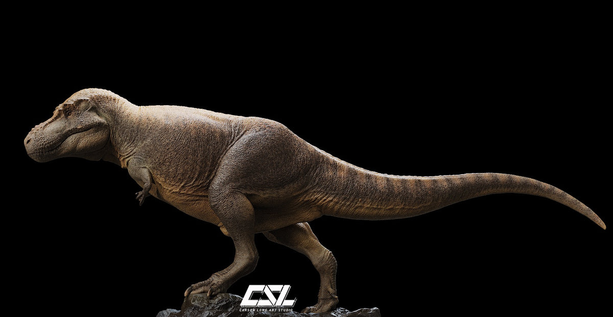 Carson Long STUDIO Zhuchengtyrannus magnus Model