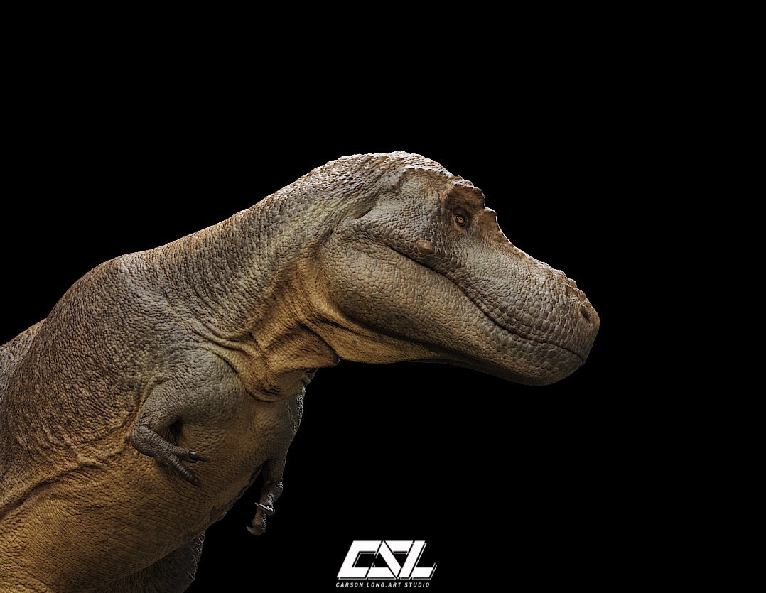 Carson Long STUDIO Zhuchengtyrannus magnus Model