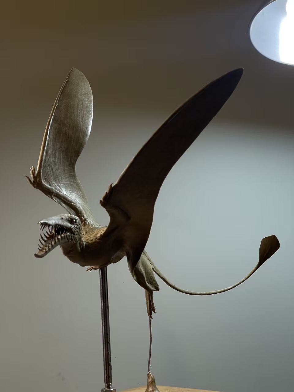 Sensen 1:1 Scale Rhamphorhynchus Aspidorhynchus Scene Model