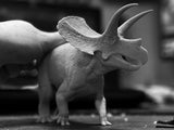 De CLAY Studio Torosaurus latus Model