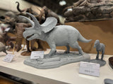 De CLAY Studio Torosaurus latus Model