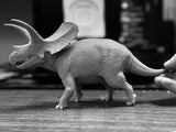 De CLAY Studio Torosaurus latus Model