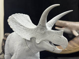 De CLAY Studio Torosaurus latus Model